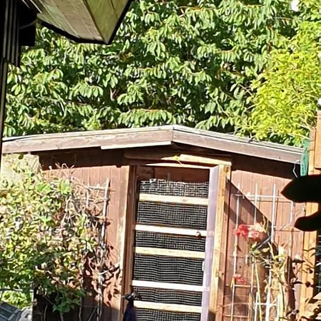 Vakantiepark Nr. 60 Im Am Twistesee Bad Arolsen