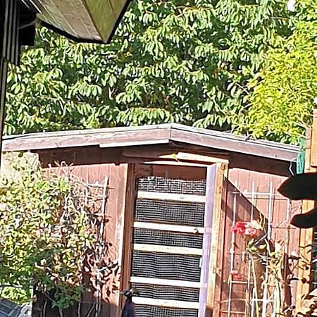 Holiday park Nr. 60 Im Am Twistesee