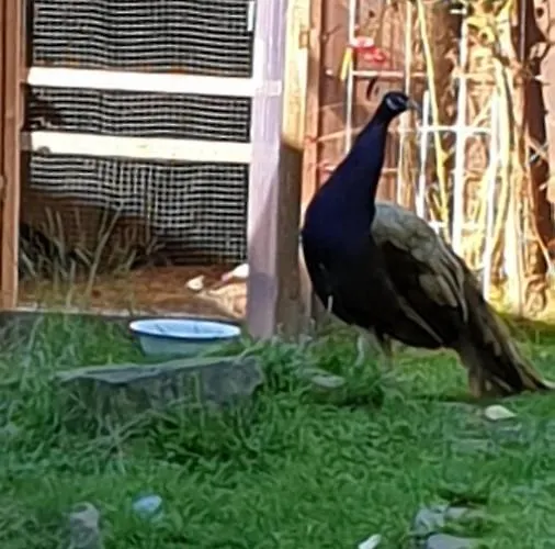 Nr. 60 Im Am Twistesee * Bad Arolsen