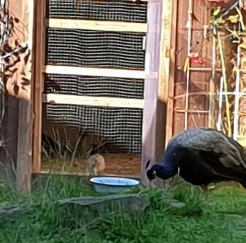 Ferienpark Nr. 60 Im Am Twistesee Bad Arolsen